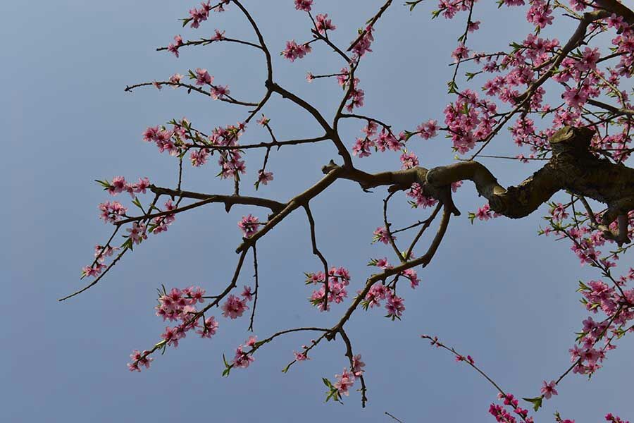 QQͼƬ20140406081910.jpg