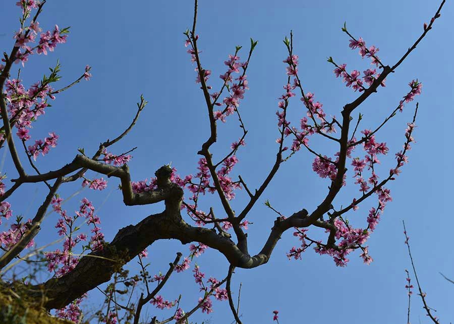 QQͼƬ20140406081926.jpg