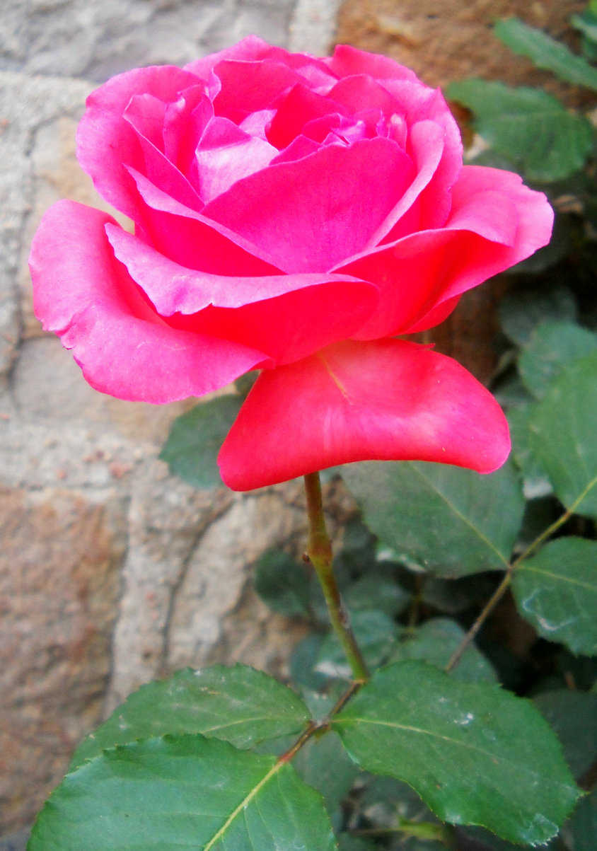 DSCN2374_.jpg
