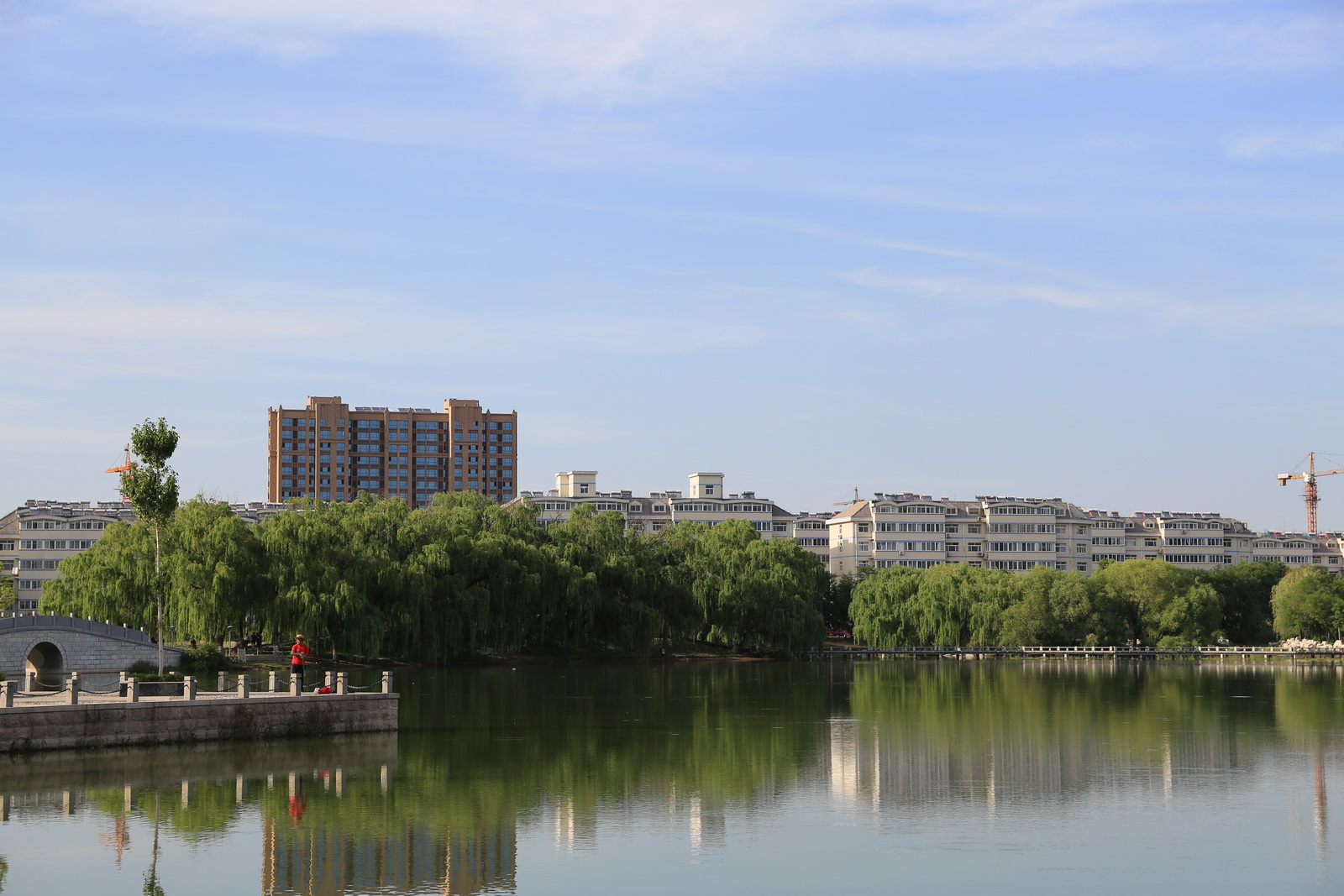 BD7A7350_С.JPG