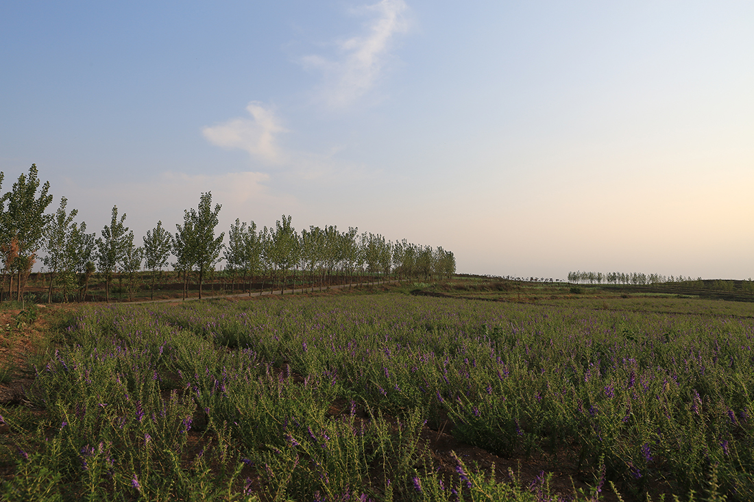 BD7A7781.JPG