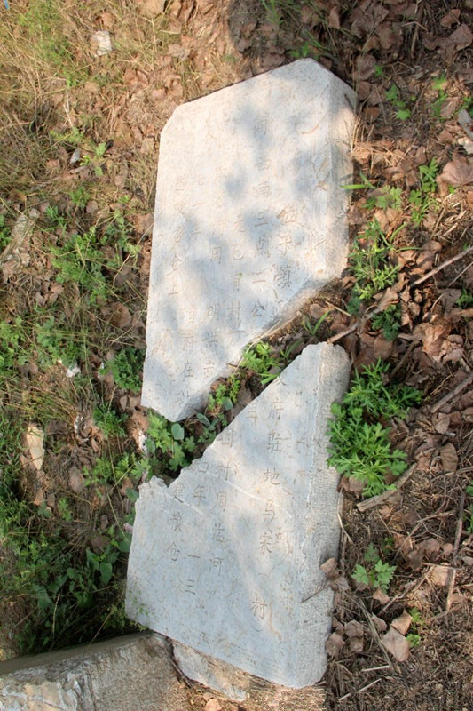 001lDqiazy6KVuNMZ9A56&690.jpg