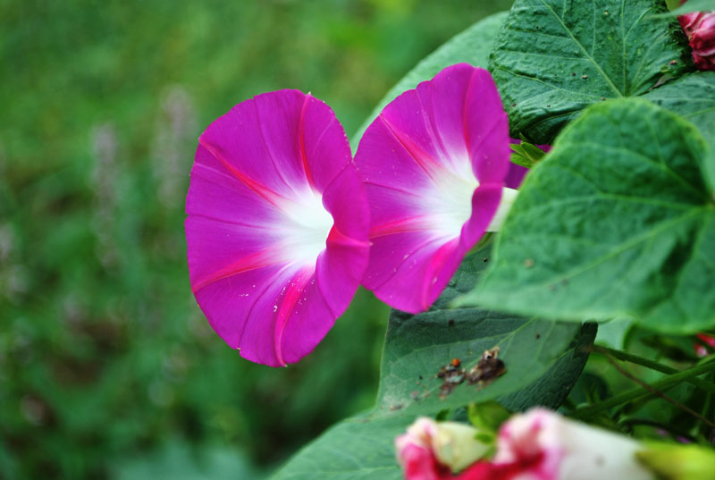 ǣţ04.jpg