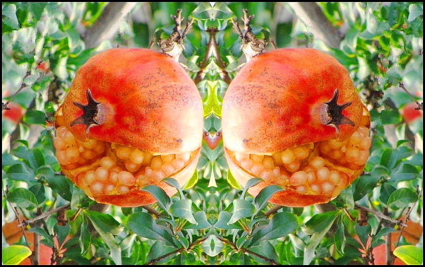 ʯ.jpg