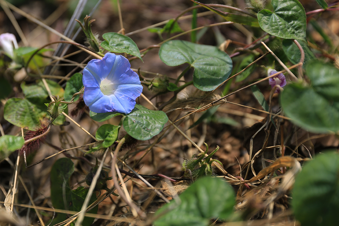 BD7A9836.JPG