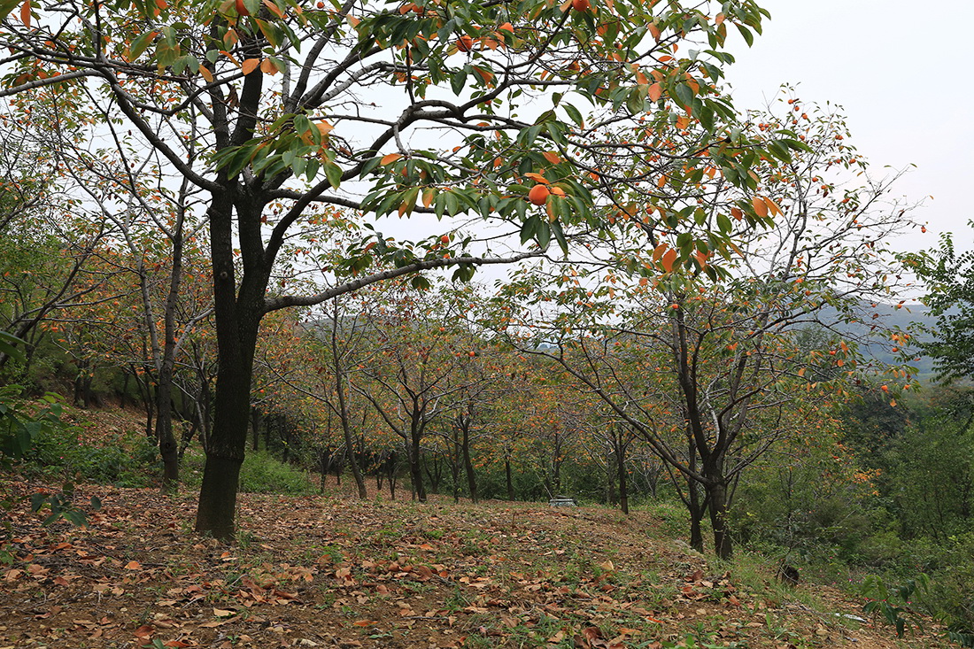 BD7A9888.jpg