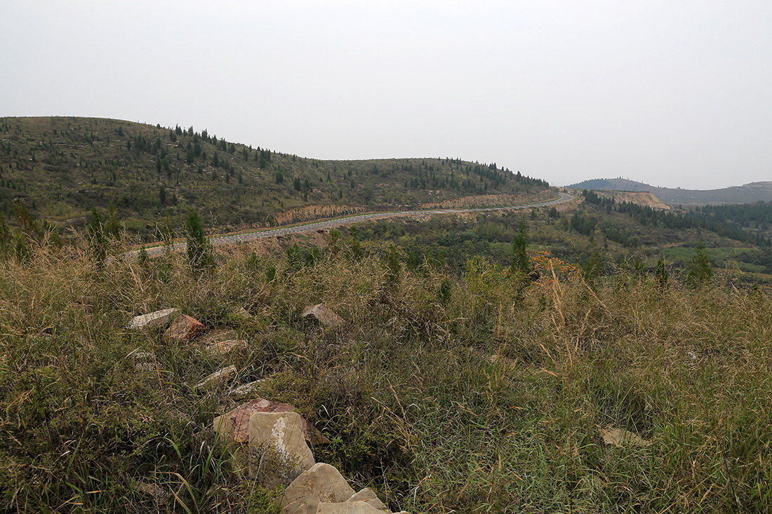 BD7A9983.jpg