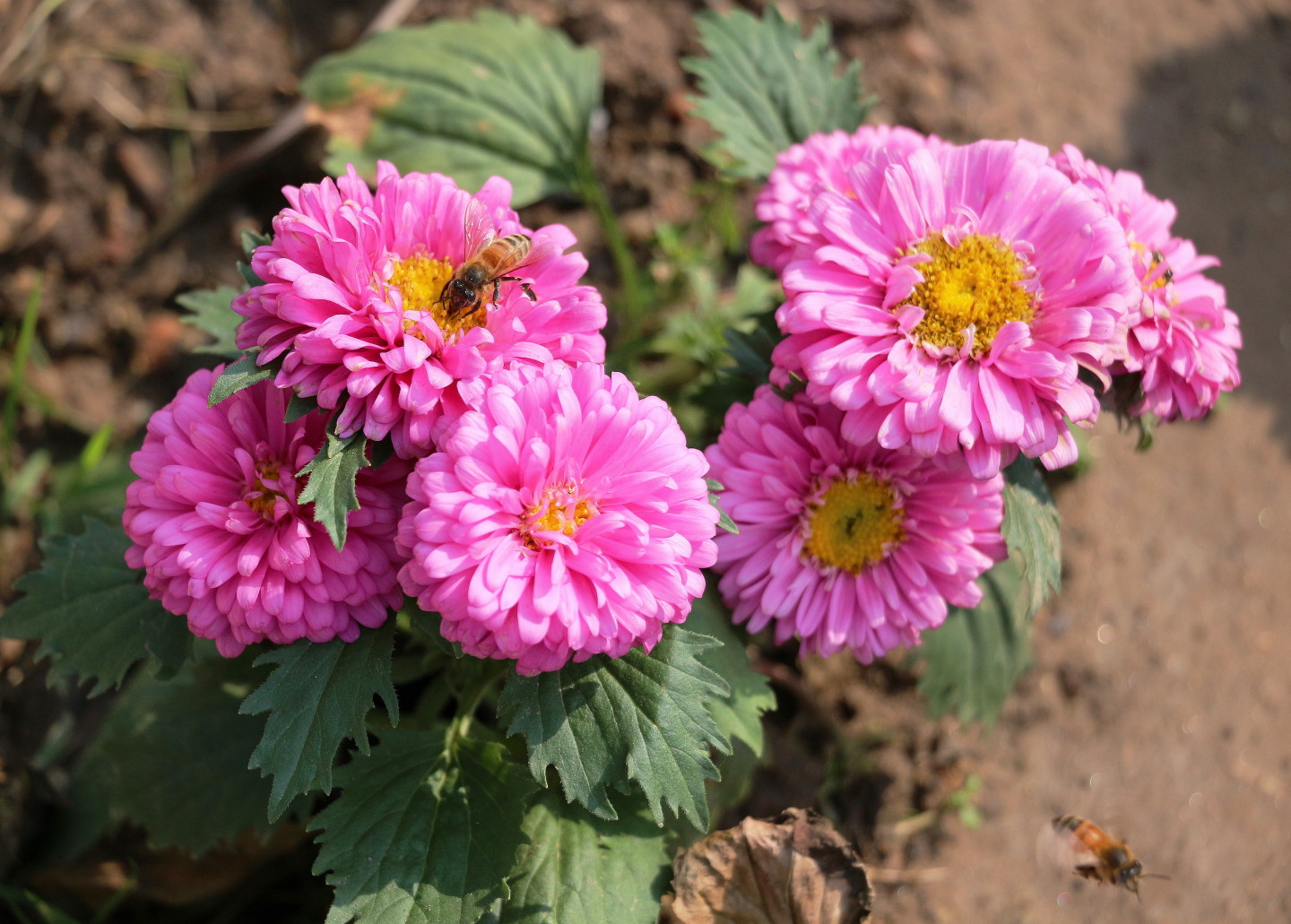 ǧͷգ1.jpg