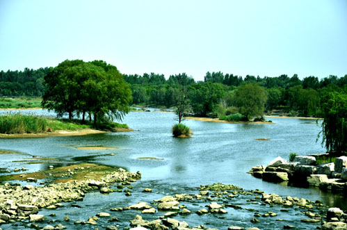DSC_0089.jpg