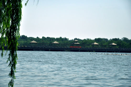 DSC_0032.jpg
