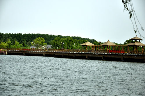 DSC_0100.jpg