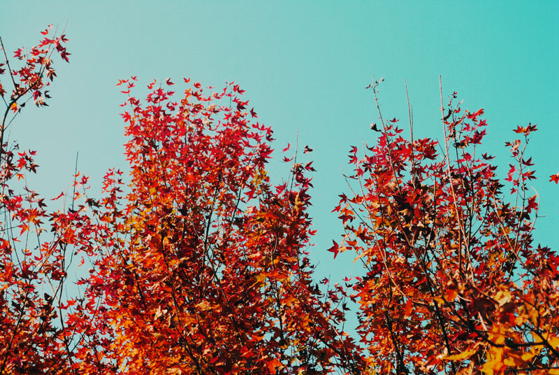 Ҷ010.jpg