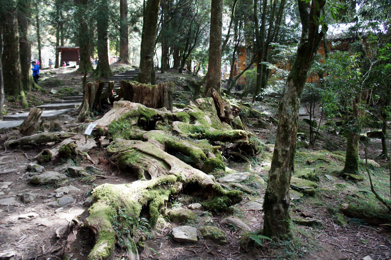 DSC03314.JPG