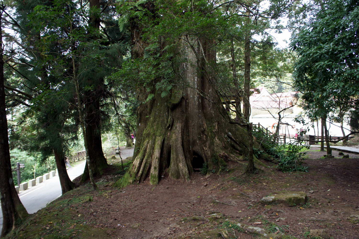 DSC03315.JPG