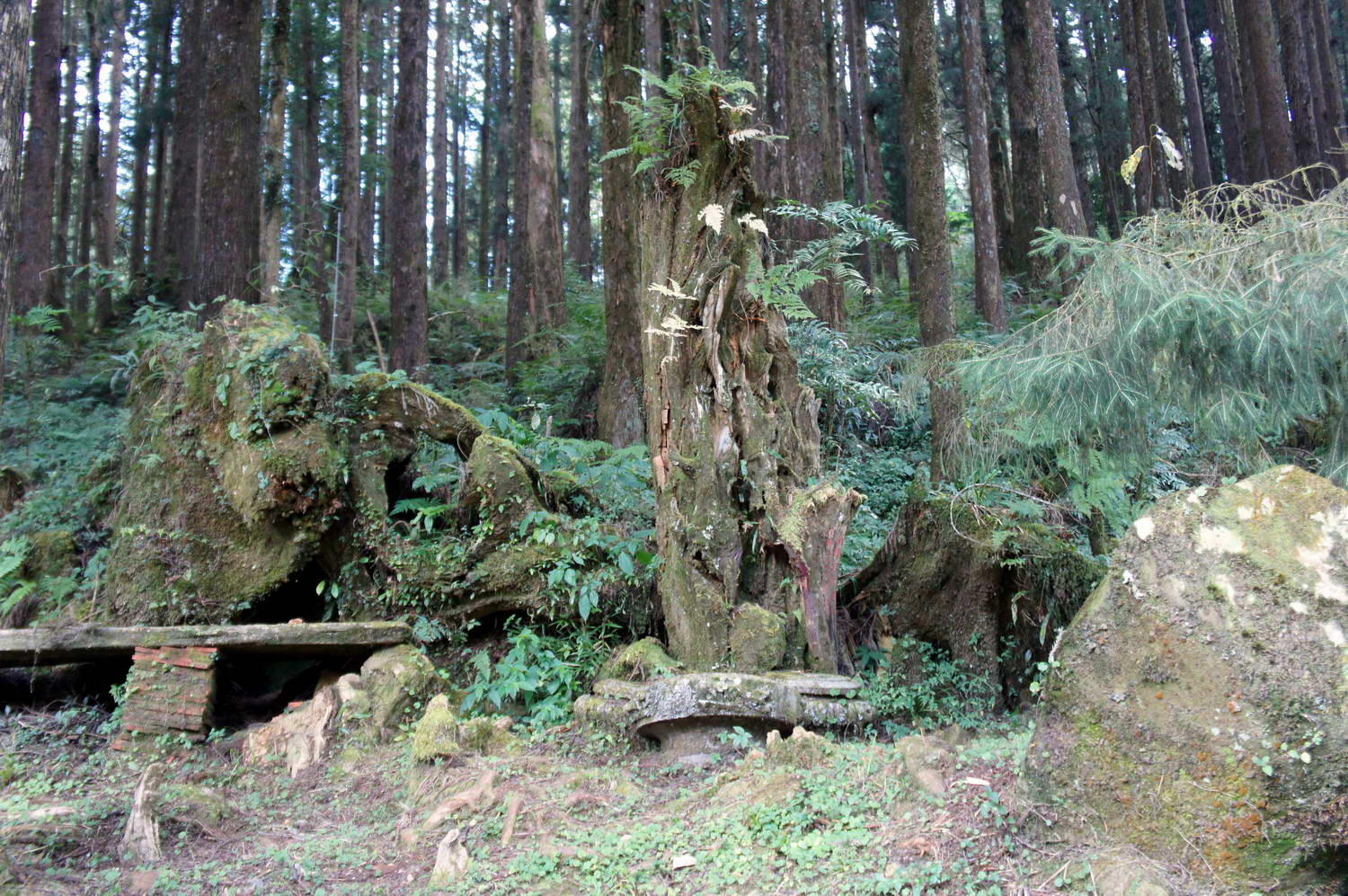 DSC03284.JPG