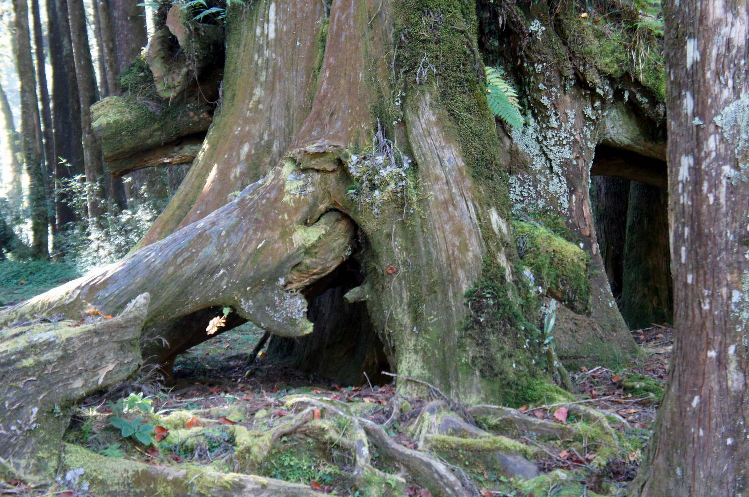 DSC03256.JPG