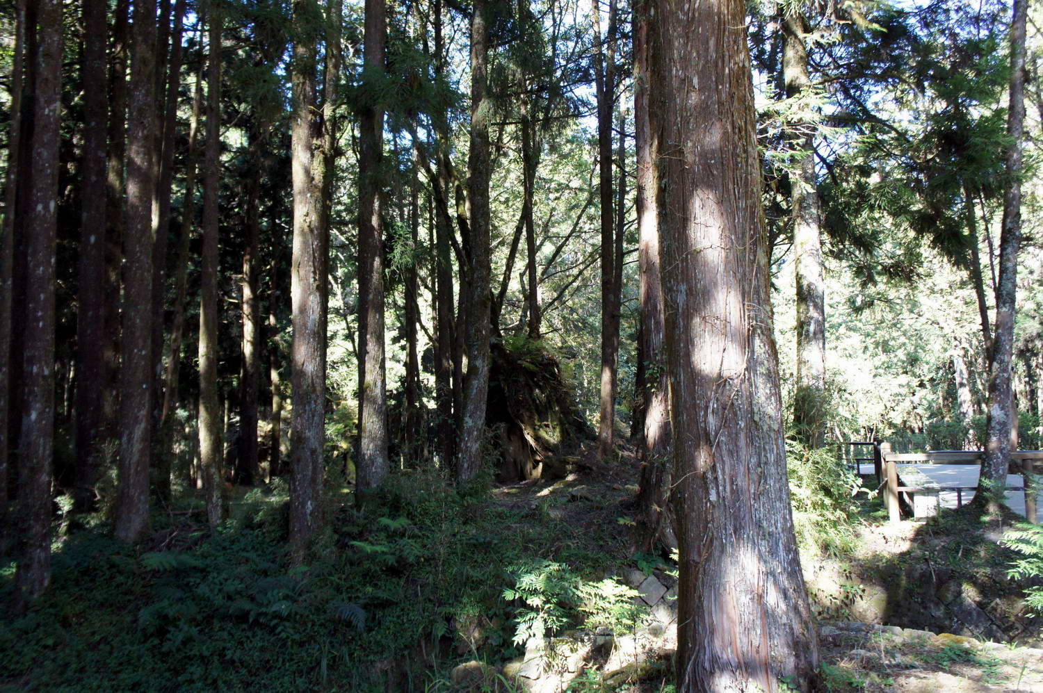 DSC03252.JPG