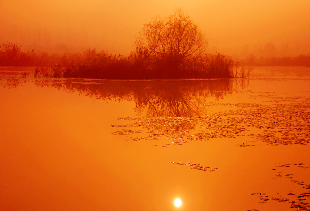 DSC_4172-1.jpg
