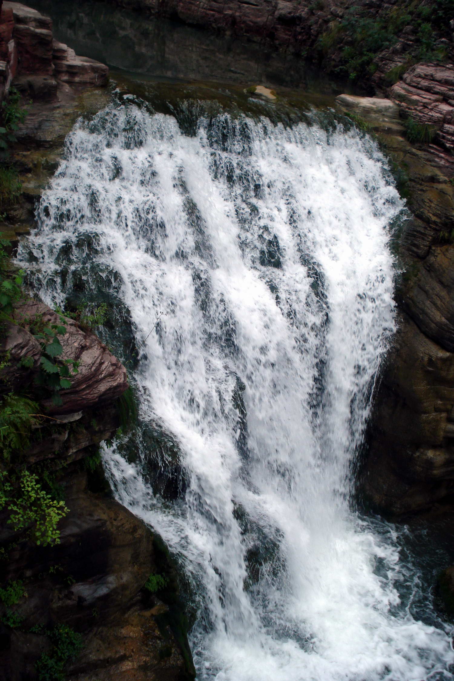 DSC05624.JPG