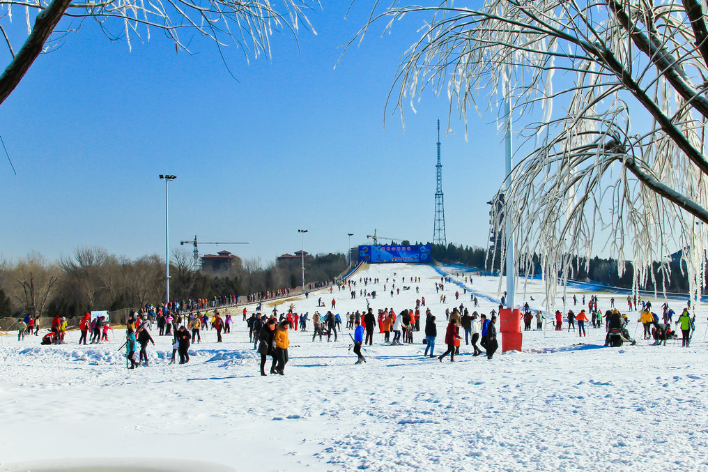 IMG_7393.jpg