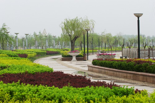 2010120114953576.jpg