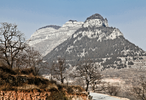 IMG_8517.jpg