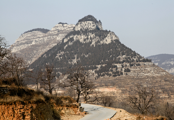 IMG_8518.jpg