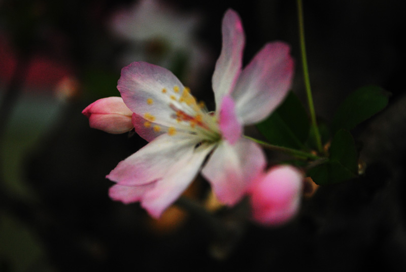 ӣ02.jpg