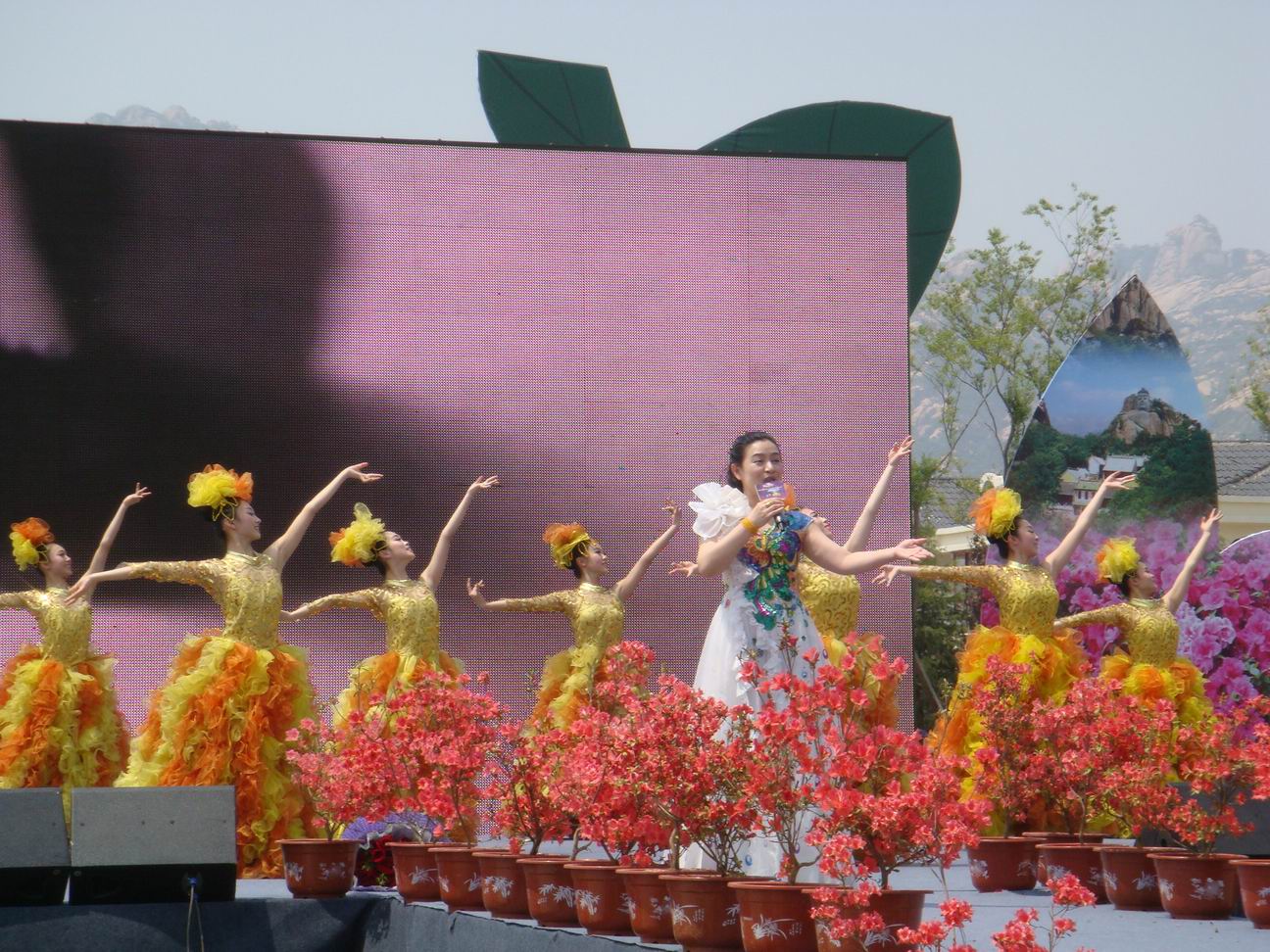DSC01413.JPG