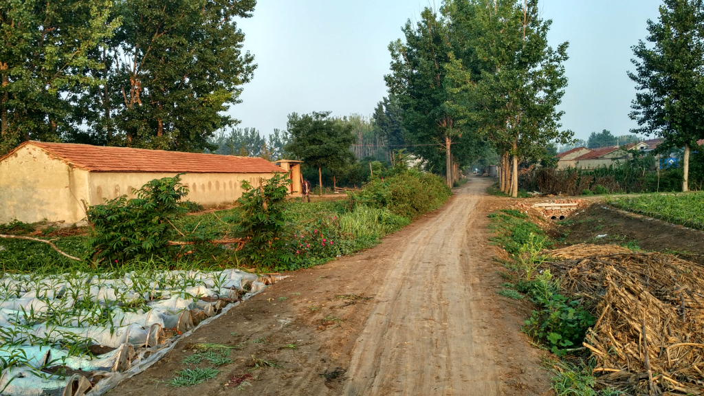 DPP_227.JPG
