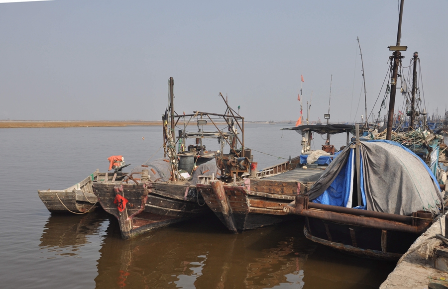 DSC_2306.JPG