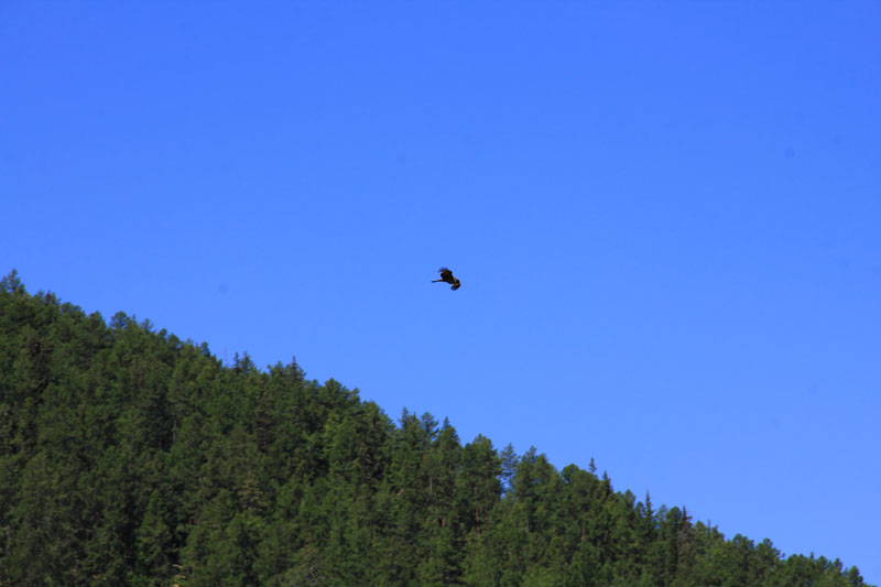 IMG_5584.jpg