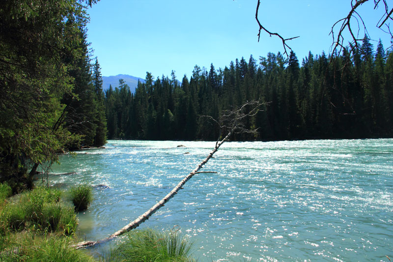IMG_5757.jpg