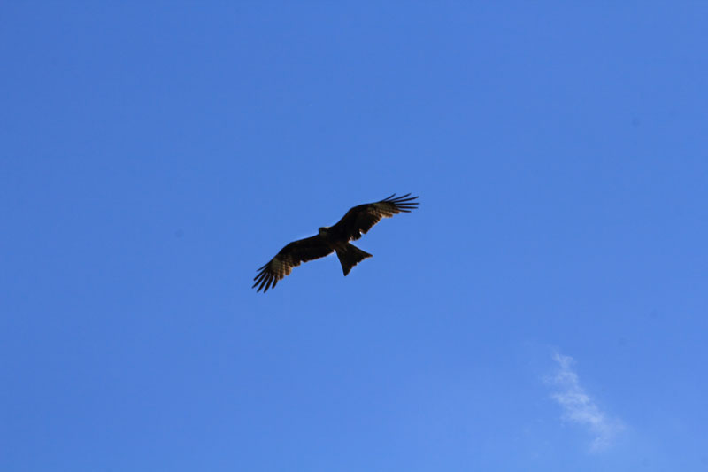 IMG_6507.jpg
