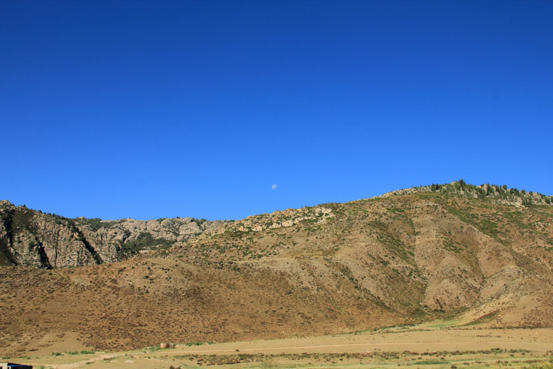 IMG_6014.jpg