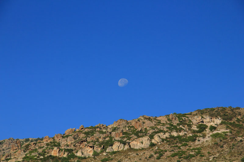 IMG_6016.jpg