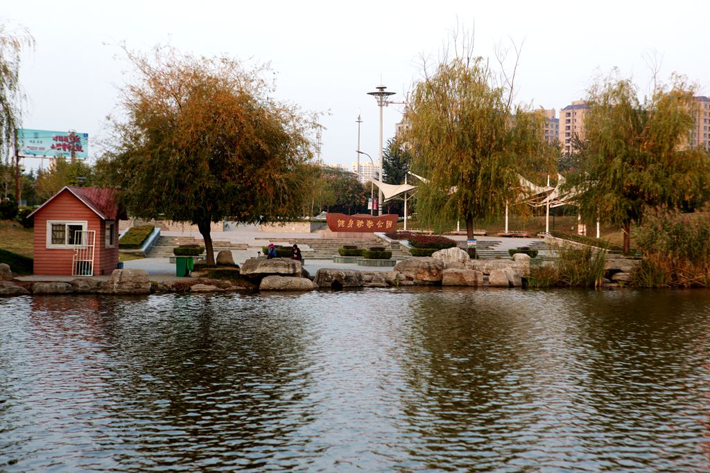 _MG_4596_.jpg