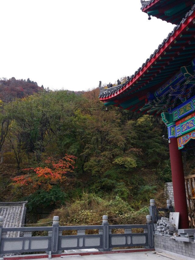 QQͼƬ20151126175231.jpg