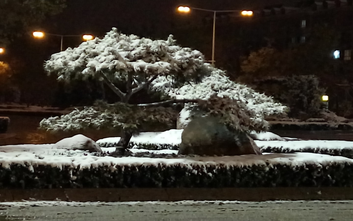 IMG20151124185021.jpg