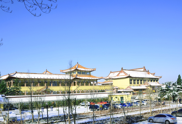 DSC_4868 0.jpg