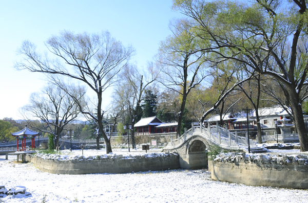 DSC_4923 0.jpg