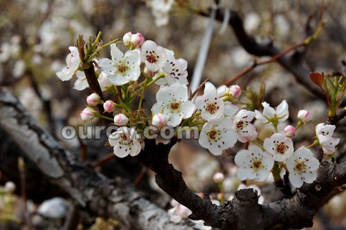 201603310954041150_1.jpg