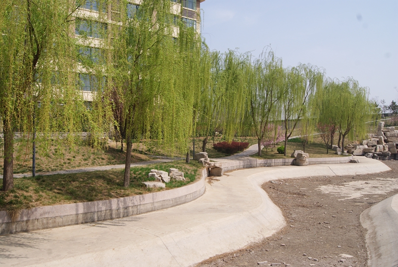 DSC04911.jpg