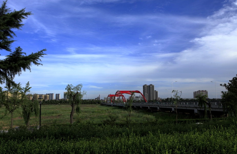 _MG_3569_.jpg