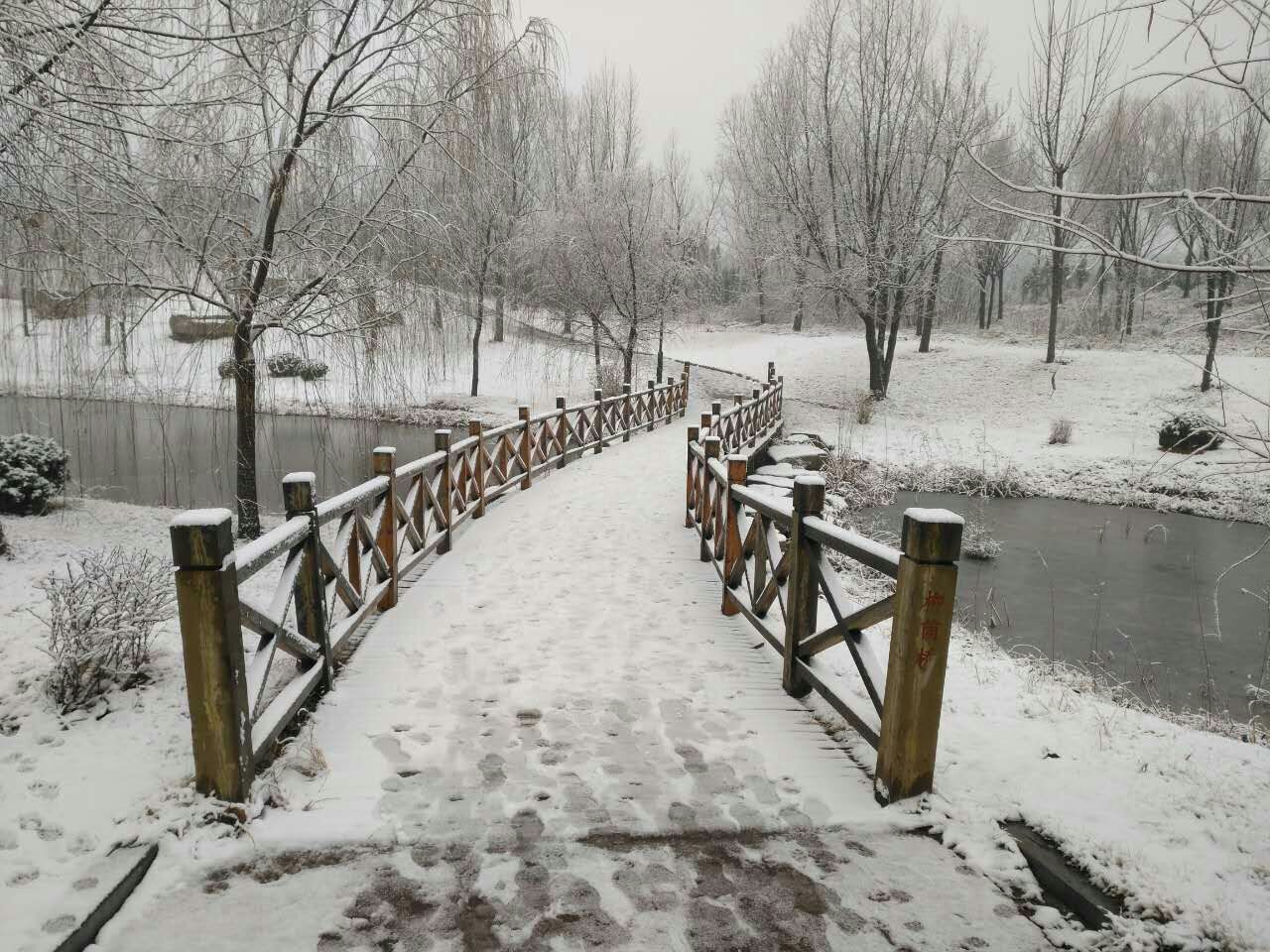 QQͼƬ20161226184748.jpg