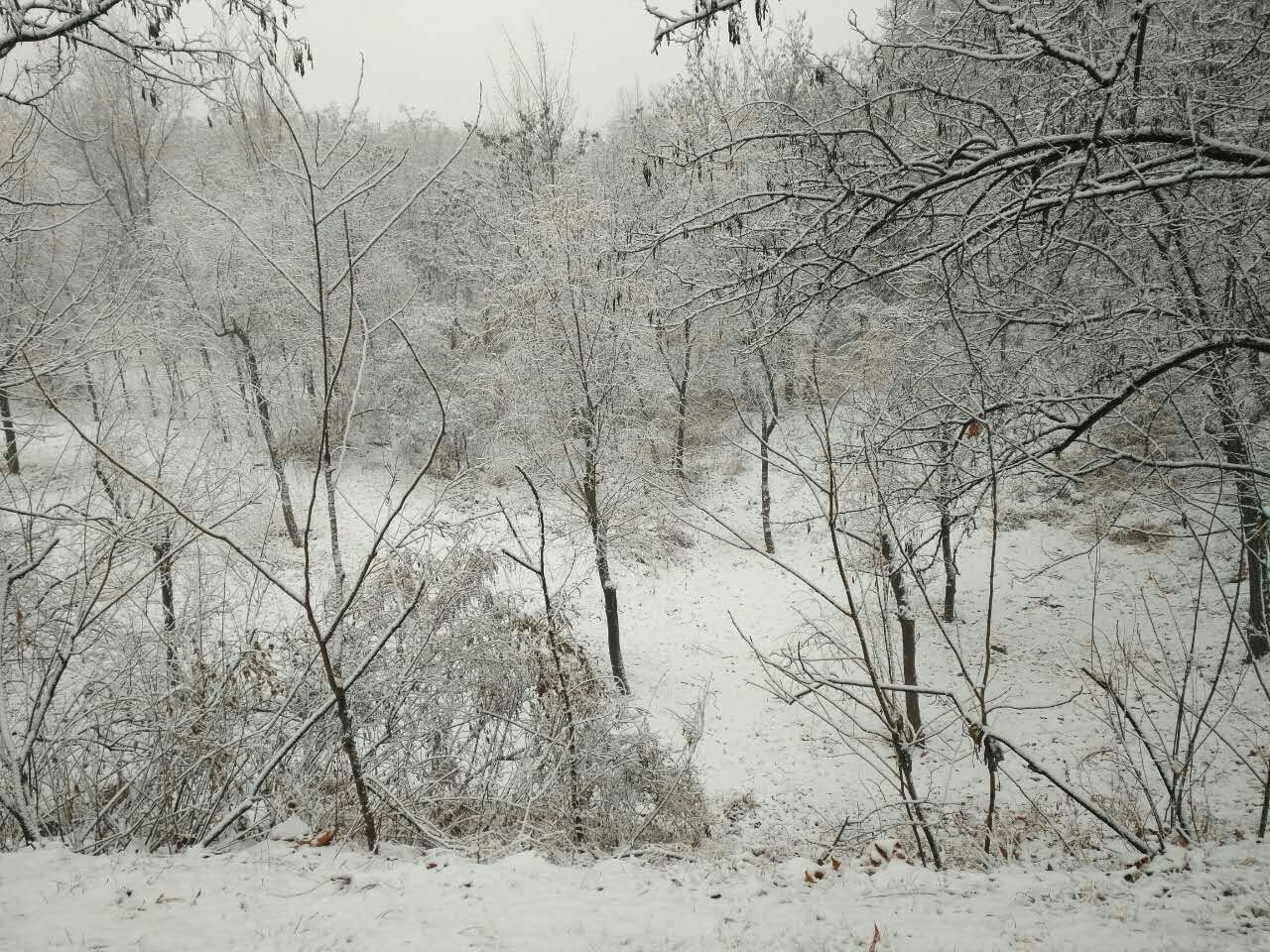 QQͼƬ20161226184813.jpg