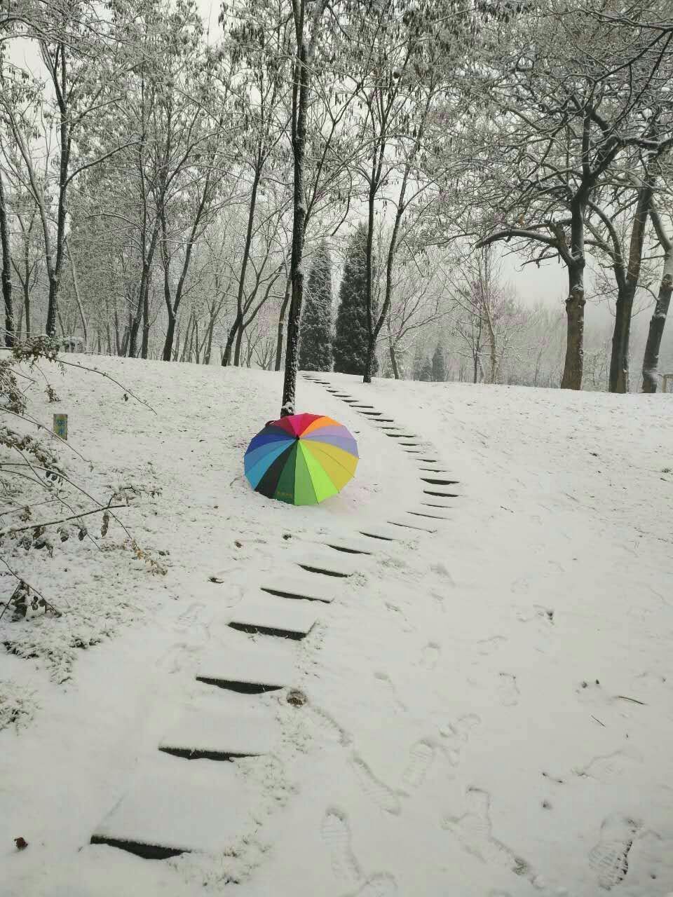 QQͼƬ20161226184828.jpg