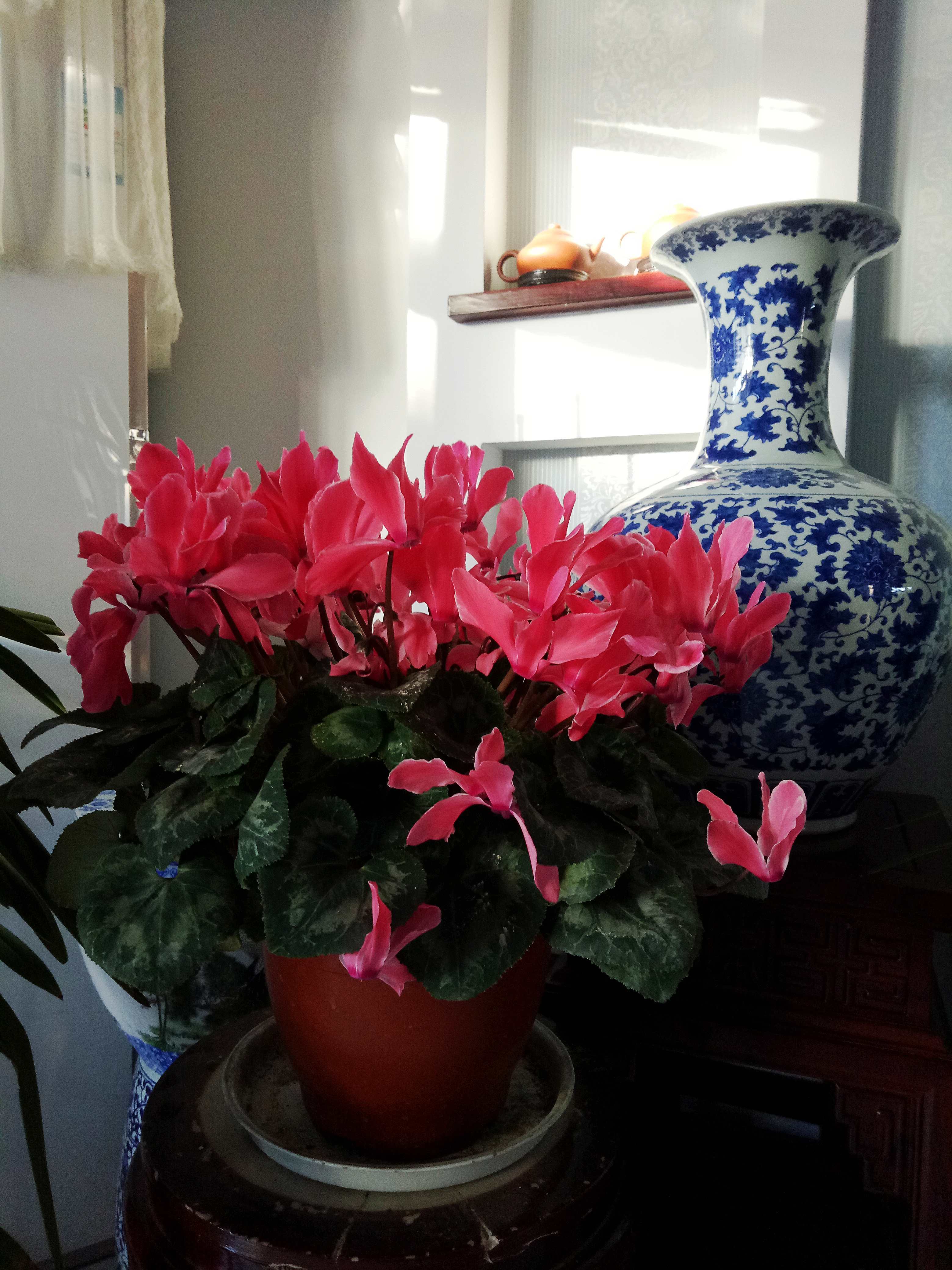 IMG20170120080840_conew1.jpg