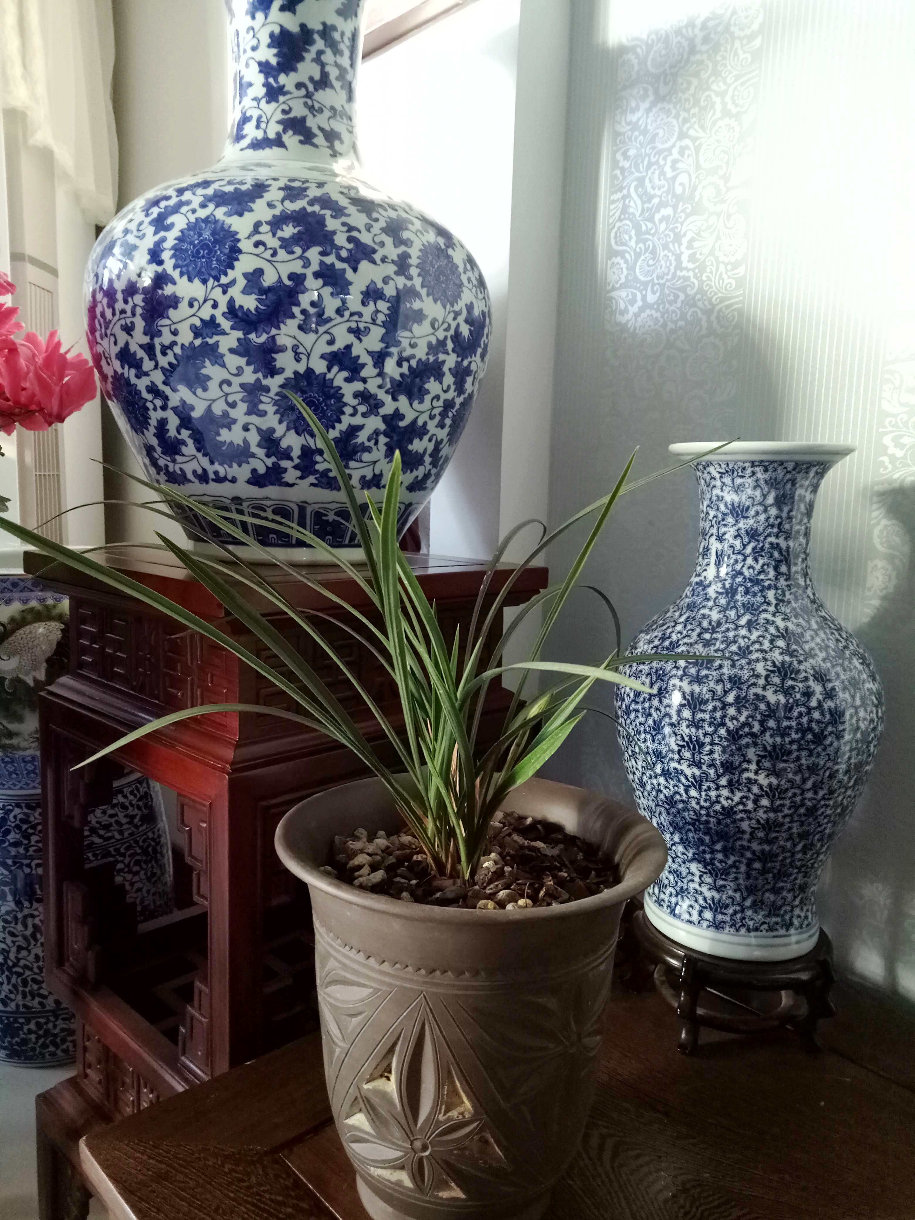IMG20170120080901_conew2.jpg