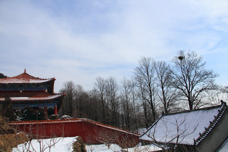 IMG_8777.jpg